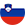 Slovenia flag